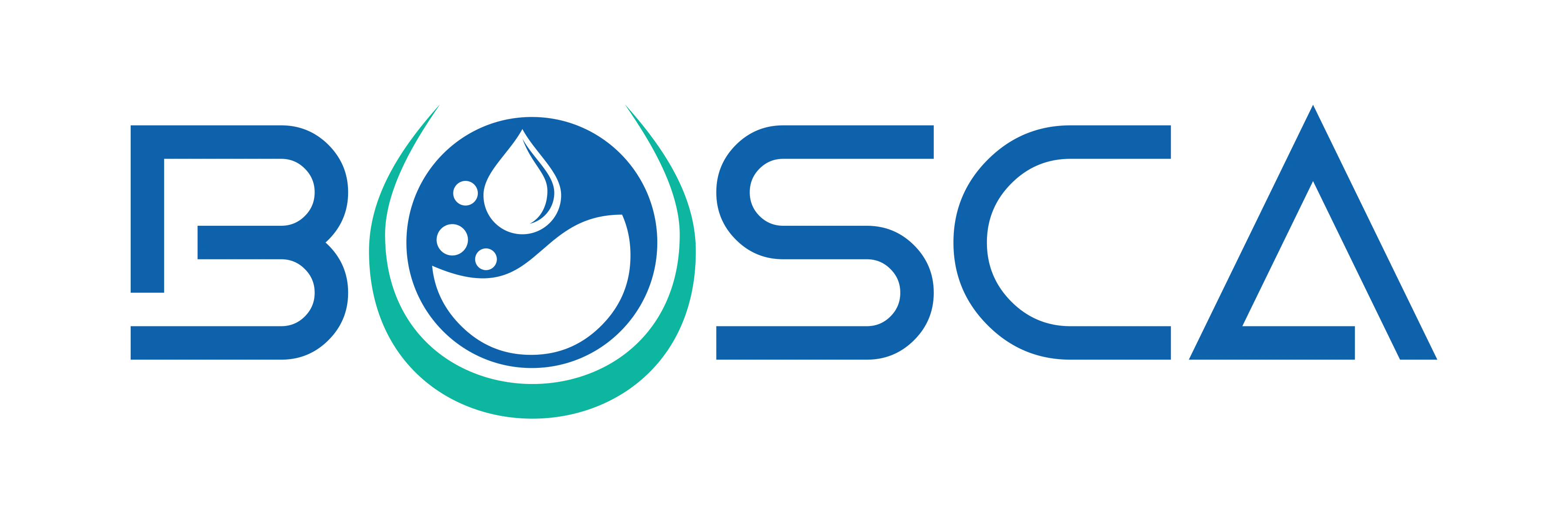 Bosca Chemicals